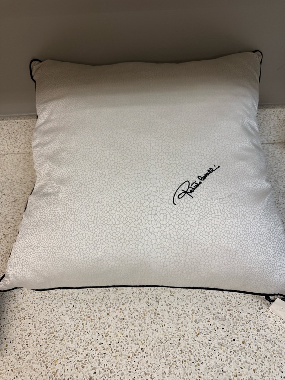 Roberto Cavalli  20x20 gray Accent Pillow with Black Trim